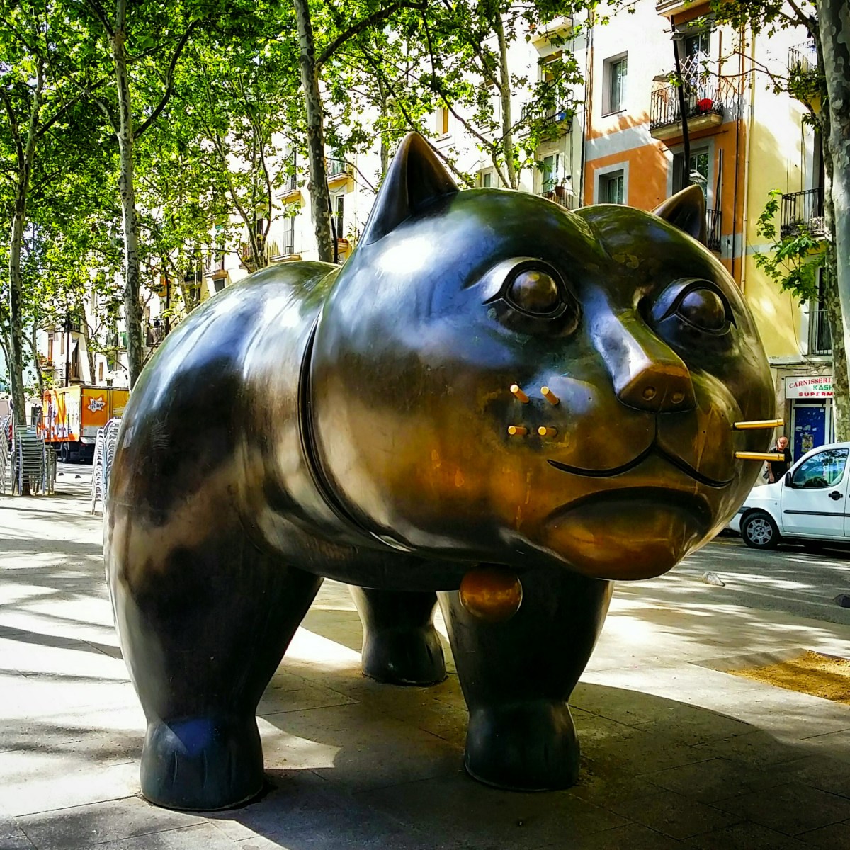 HACERSE UNA FOTO JUNTO AL GATO MÁS GRANDE DE LA&nbsp;CIUDAD